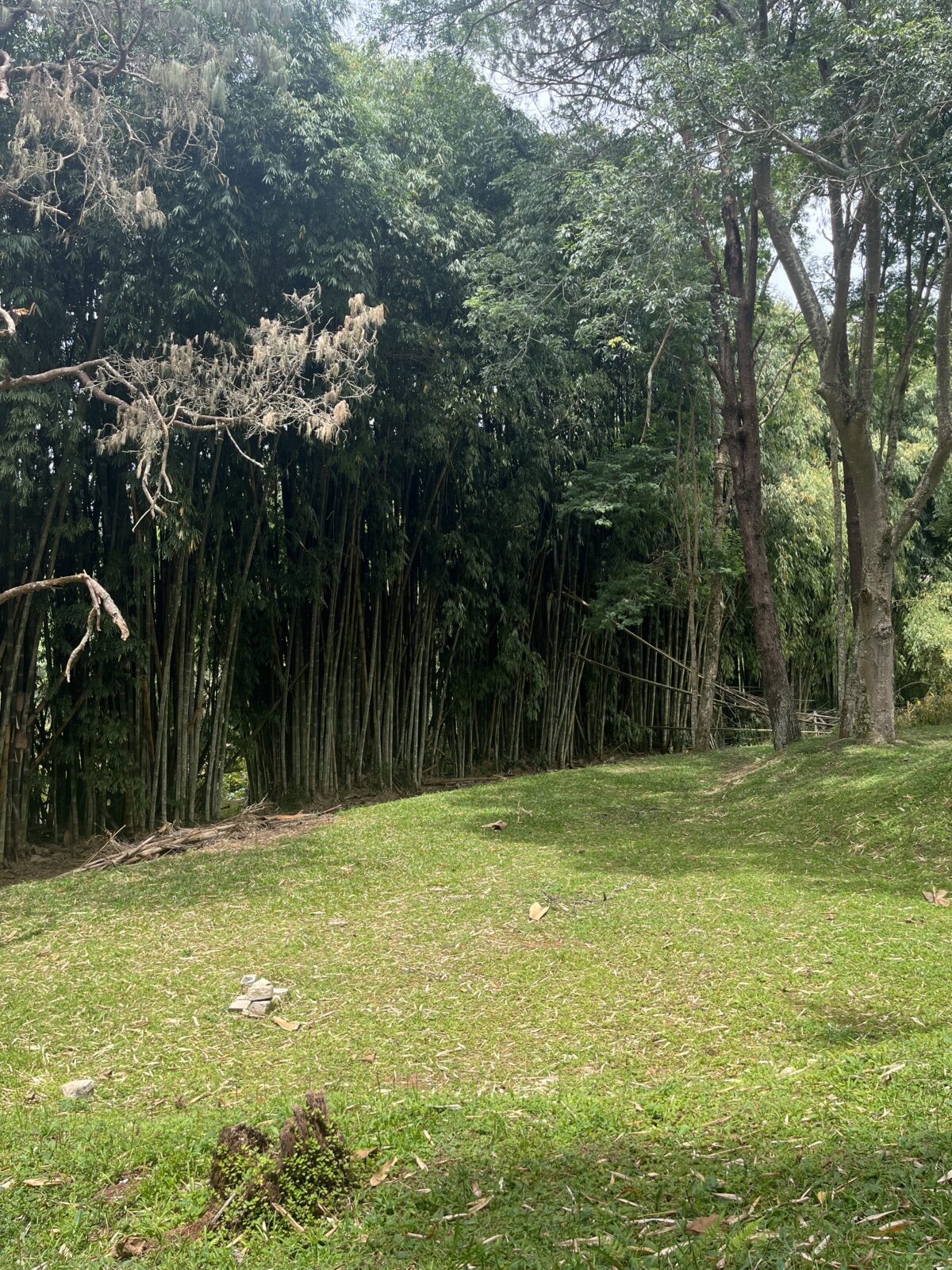 Chácara de 10,9 Hectares no Botujuru com Casa Principal, Lazer Completo e Infraestrutura Exclusiva