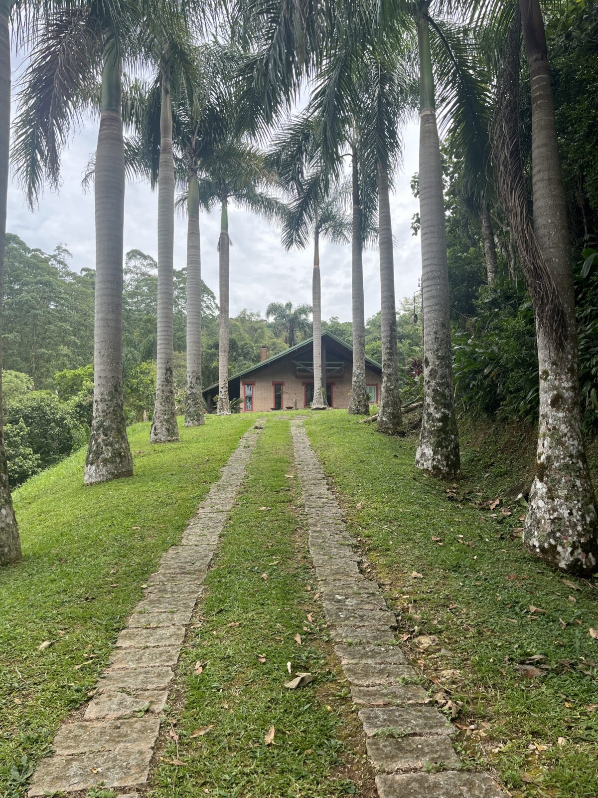 Chácara de 10,9 Hectares no Botujuru com Casa Principal, Lazer Completo e Infraestrutura Exclusiva - Imagem 5