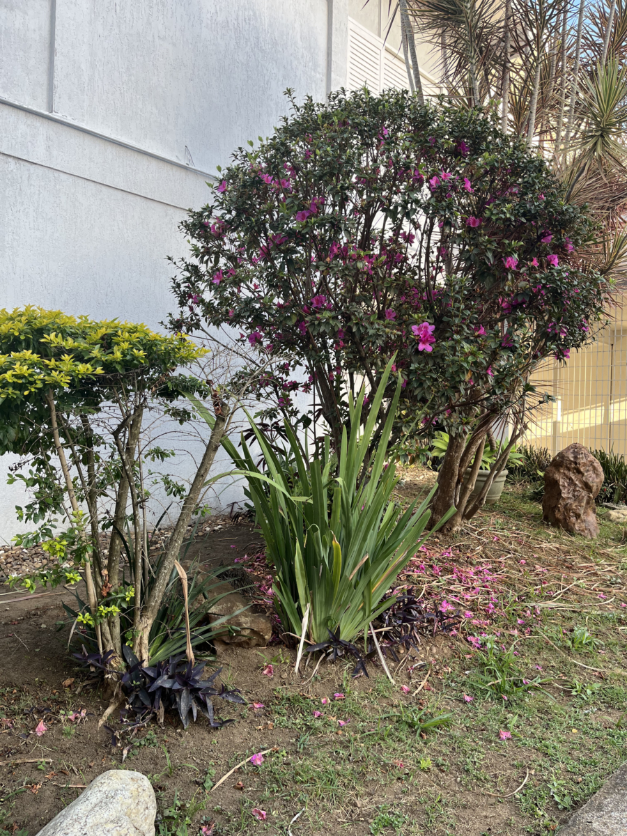 Casa com 4 quartos, suíte master com hidromassagem e gourmet – Vila Oliveira - Imagem 33